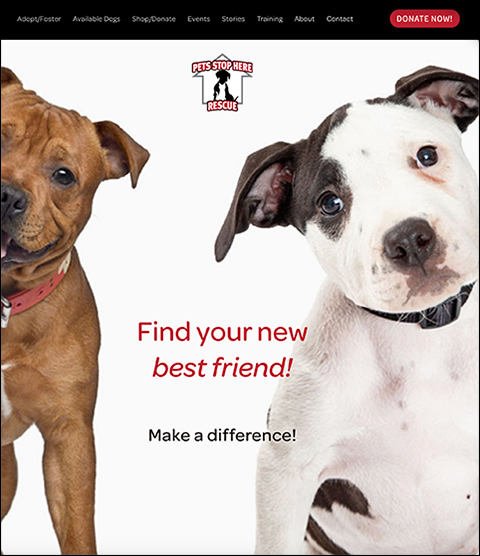 i roc design web/graphic design rochester ny