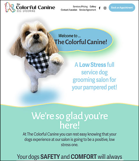 i roc design web/graphic design rochester ny